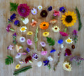 Assorted edible flowers and foliage on a wooden surface