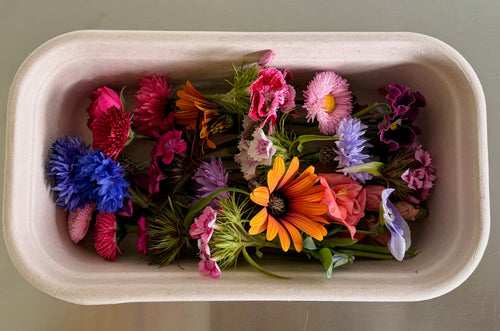 A cardboard punnet of brightly coloured edible flowers with stems